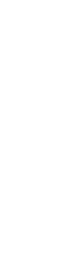 上質空間で地鶏の串を堪能