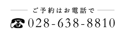 028-638-8810